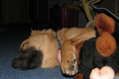 kuscheln_mit_Affe.jpg