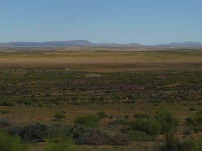 Steppe_Steinkopf.jpg (253.08 KiB) 3942 mal betrachtet Im Namakwaland.