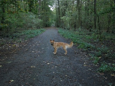 1009_seitenansicht.jpg