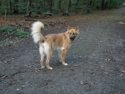 1009_rueckblick.jpg