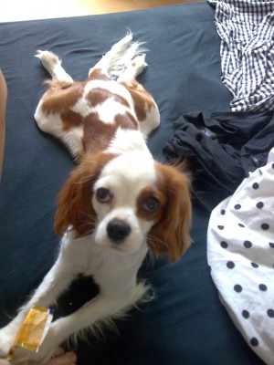 7.16.jpg (124.85 KiB) 4360-mal betrachtet 7.16.jpg