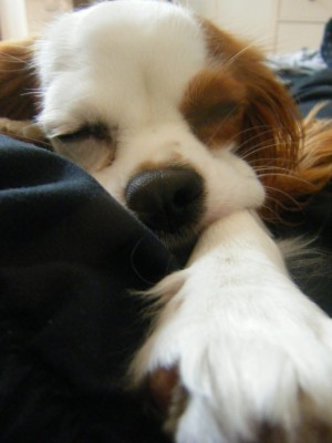 17 0906170008.JPG (171.72 KiB) 4120-mal betrachtet 17 0906170008.JPG