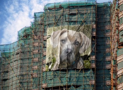 PhotoFunia-2ecc5.jpg