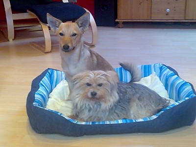 Bild076.jpg