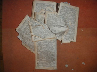 IMGP1084.jpg