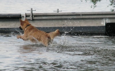 Baden_02.jpg