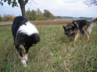 Herbst5.jpg