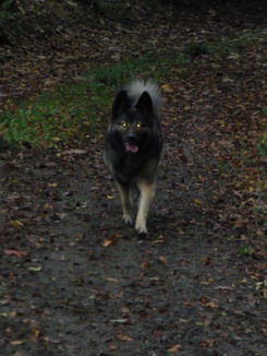 Herbst8.jpg