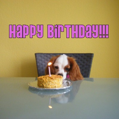 happy birthday.jpg