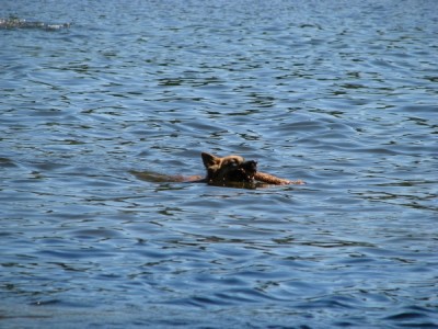 Baden_08.jpg