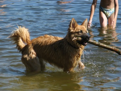 Baden_10.jpg