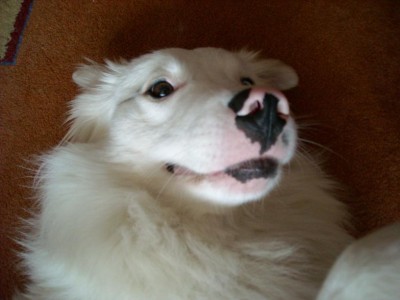 DSCN0628.JPG