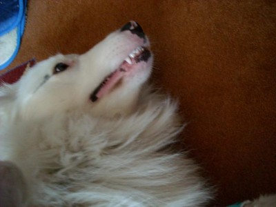 DSCN0629.JPG