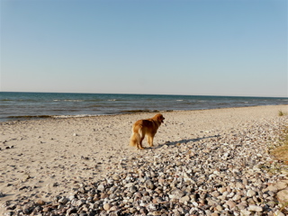 P1010030.jpg
