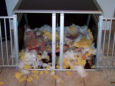 Bild 004_800x600.jpg (130.84 KiB) 2956-mal betrachtet Bild 004_800x600.jpg