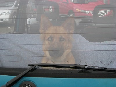Corsa_Kiara_3.jpg