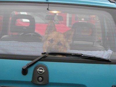 Corsa_Kiara_2.jpg
