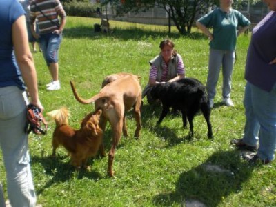 My Low.jpg (41.91 KiB) 4081-mal betrachtet My Low.jpg