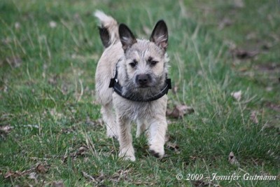FoTr_221109_Bea (85).jpg