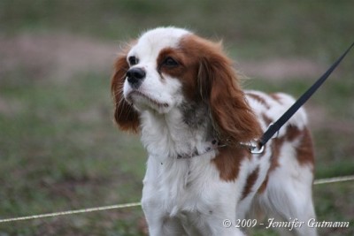 FoTr_221109_Bea (135).jpg