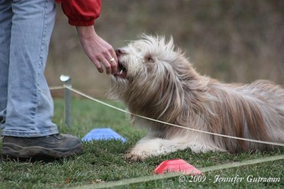 FoTr_221109_Bea (130).jpg