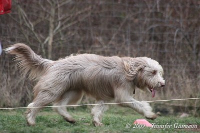 FoTr_221109_Bea (119).jpg