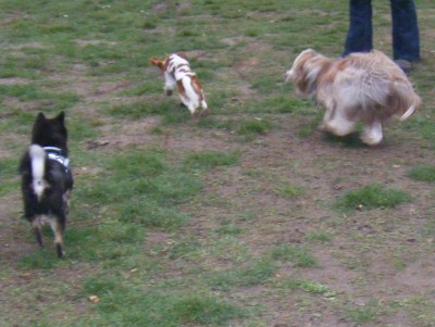 0911220085.JPG