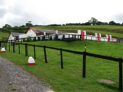 Cattistock2.jpg