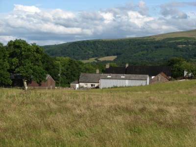 Cottage8.jpg
