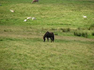 Brecon Beacons2.jpg