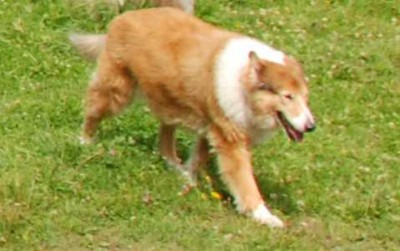 2009_08_15_Algor_DSC_4544.jpg (16.84 KiB) 9067-mal betrachtet 2009_08_15_Algor_DSC_4544.jpg