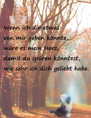 fletchert - 2.jpg