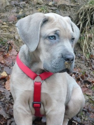 2009_0124lennox20008.JPG