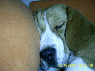 pic0016jm9.jpg