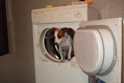zu Hause 004_conv.jpg