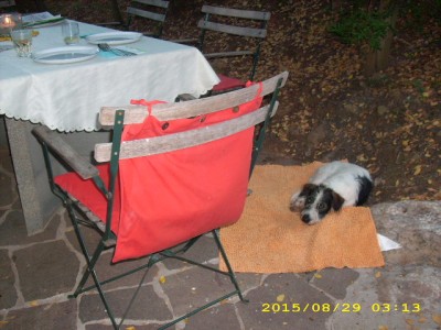 elba-urlaub 2009 037.jpg