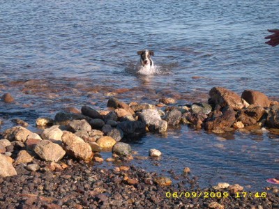 elba-urlaub 2009 093.jpg