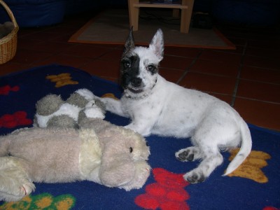 DSCN0760.JPG