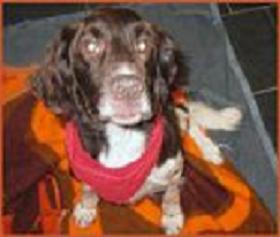 090919_cooper.jpg