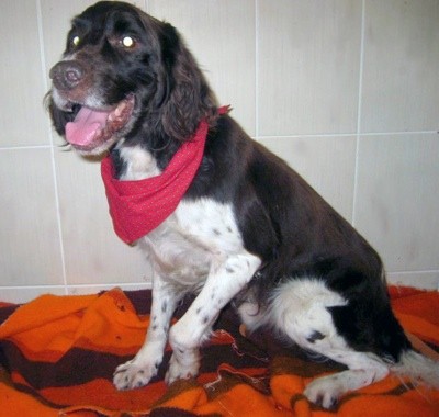 090919_cooper_gross.jpg