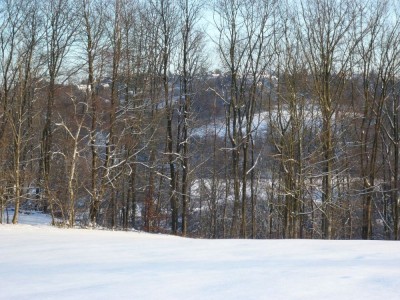 P1050340 - Kopie.JPG