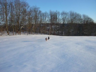 P1050341 - Kopie.JPG