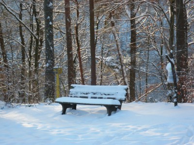P1050352 - Kopie.JPG