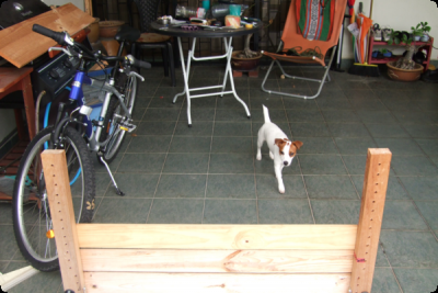 DSCF0017_conv.png