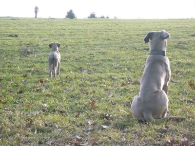 2009_0206lenny0078.JPG