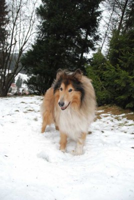 2009_12_25_Aron_DSC_4919.jpg