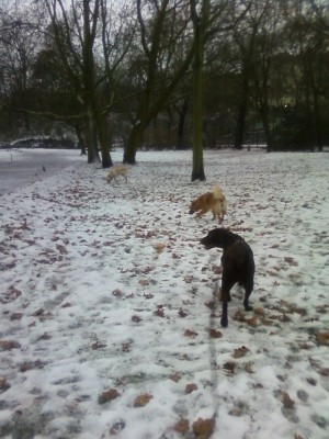 2009-12-24_Jasper_Kiara_Luz.jpg