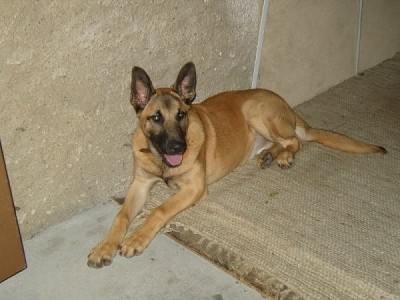 Wicky_2008-09-19.wbz.jpg (57.9 KiB) 6503-mal betrachtet Wicky_2008-09-19.wbz.jpg