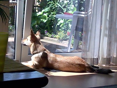 Bild055.jpg