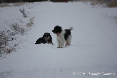 Jo&Fa_Jan_2010 (104).jpg